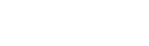 AI Consulting Bali