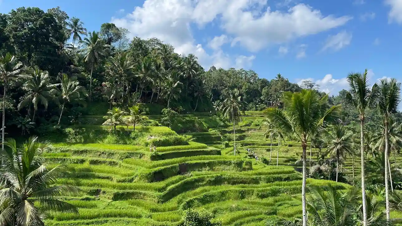 Tegalalang, Ubud